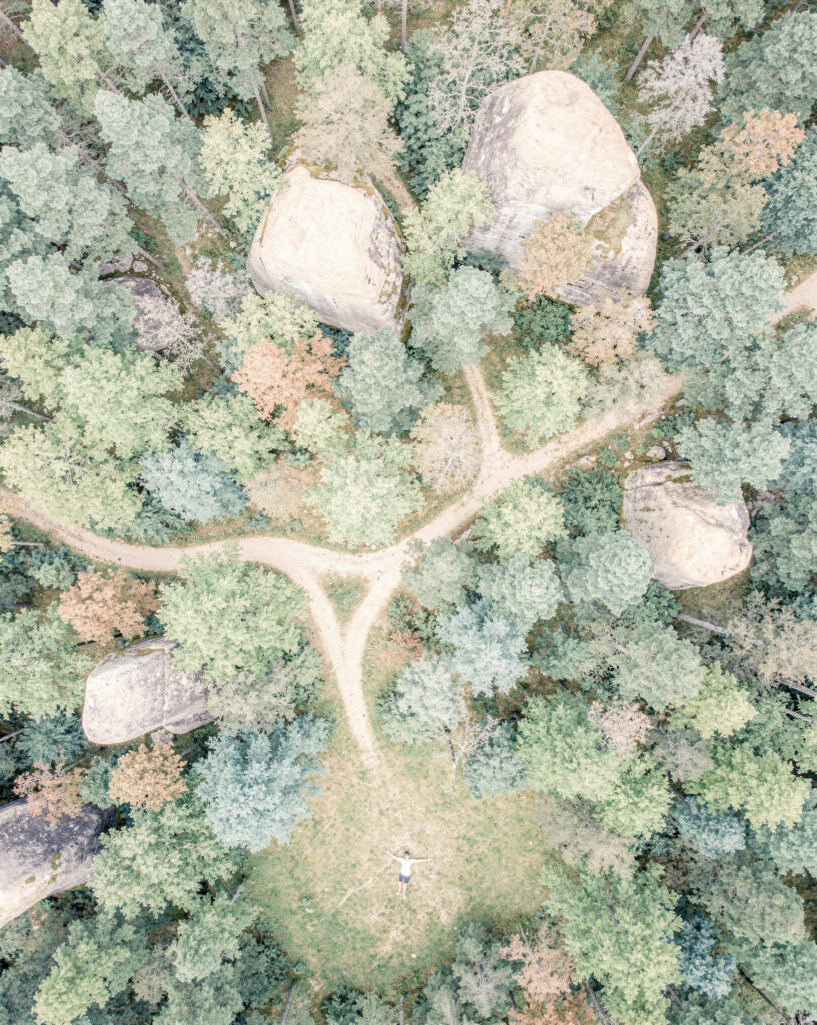 Fontainebleau Forest: 5 Dreamlike Escapes to Explore