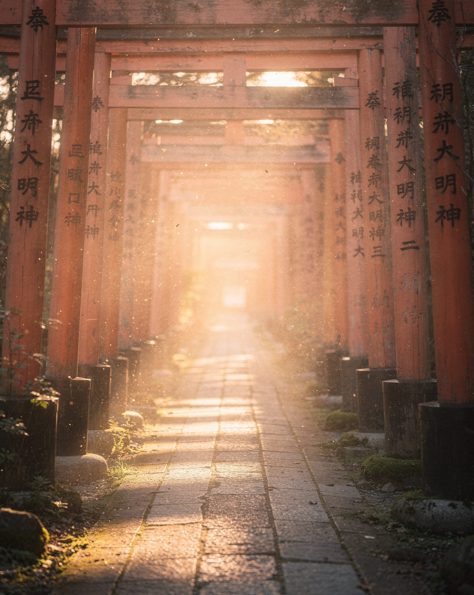 Japan's Ancient Wonders: 5 Sacred Sites Steeped in History