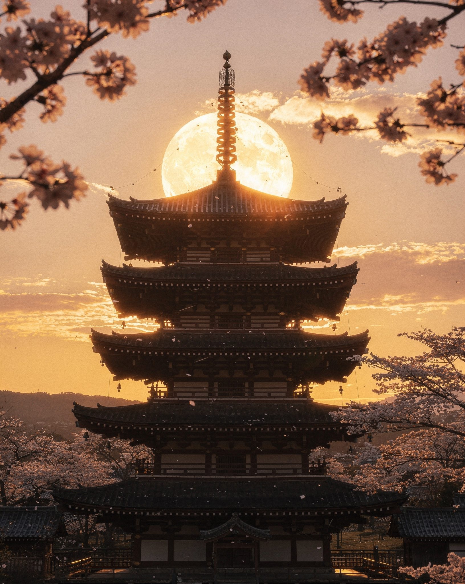 Japan's Ancient Wonders: 5 Sacred Sites Steeped in History