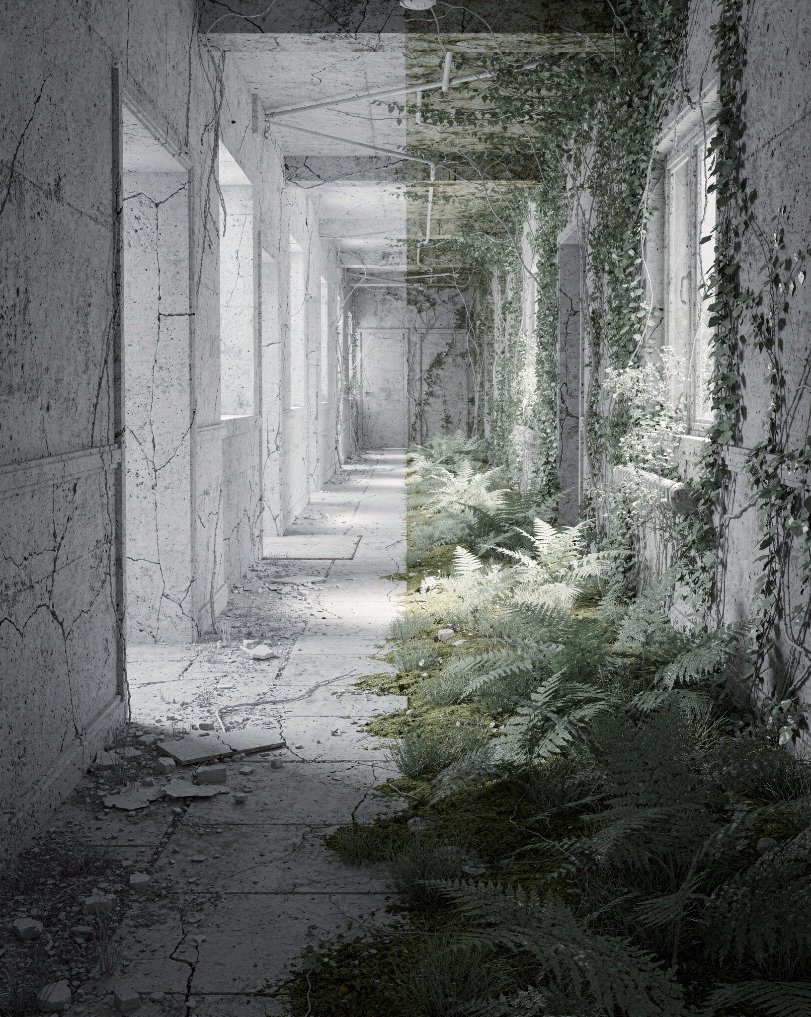 5 Haunting Abandoned Places Reclaimed by Silence