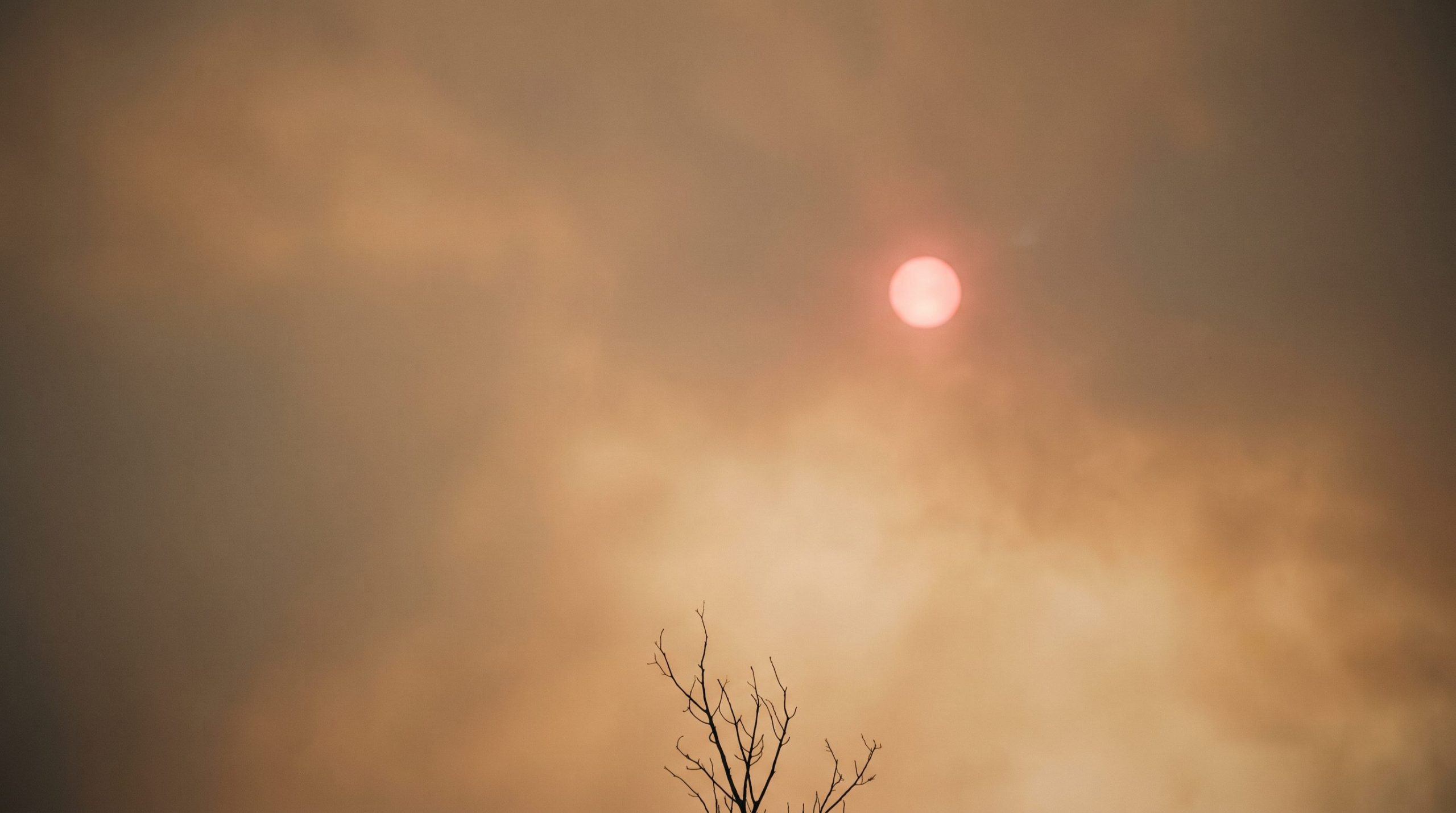 Canada's Wildfire Skies: 5 Haunting Views of a Smoke-Choked Summer