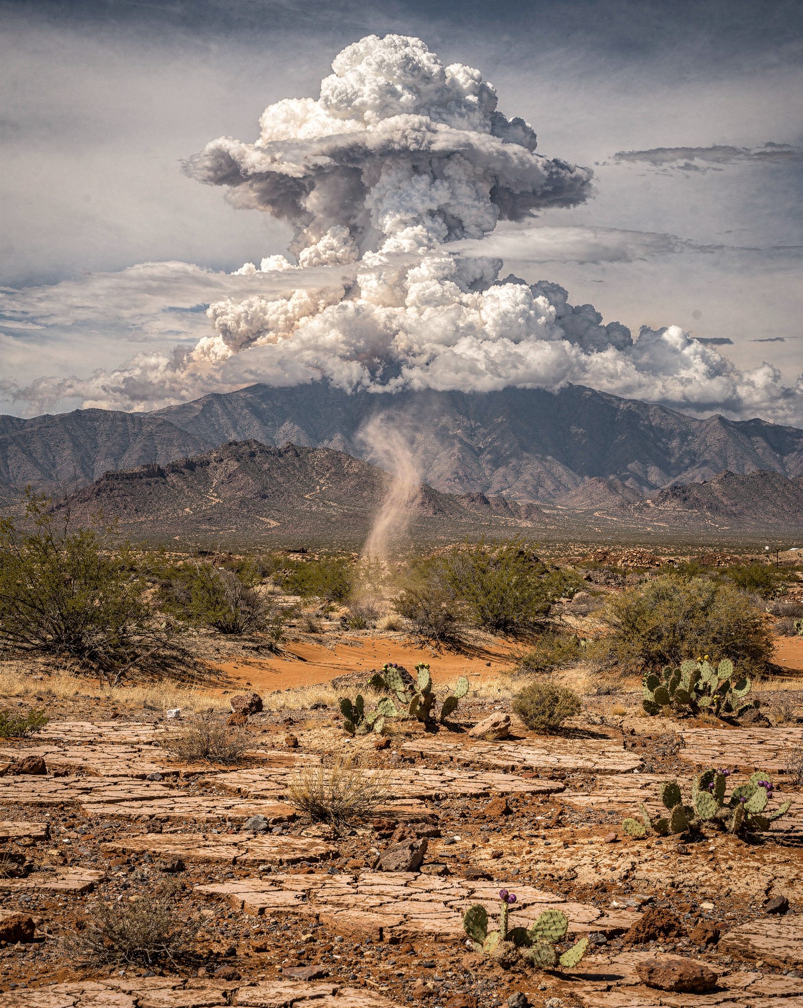 Sonoran Desert Monsoon: 6 Breathtaking Storm Wonders Over Red Earth