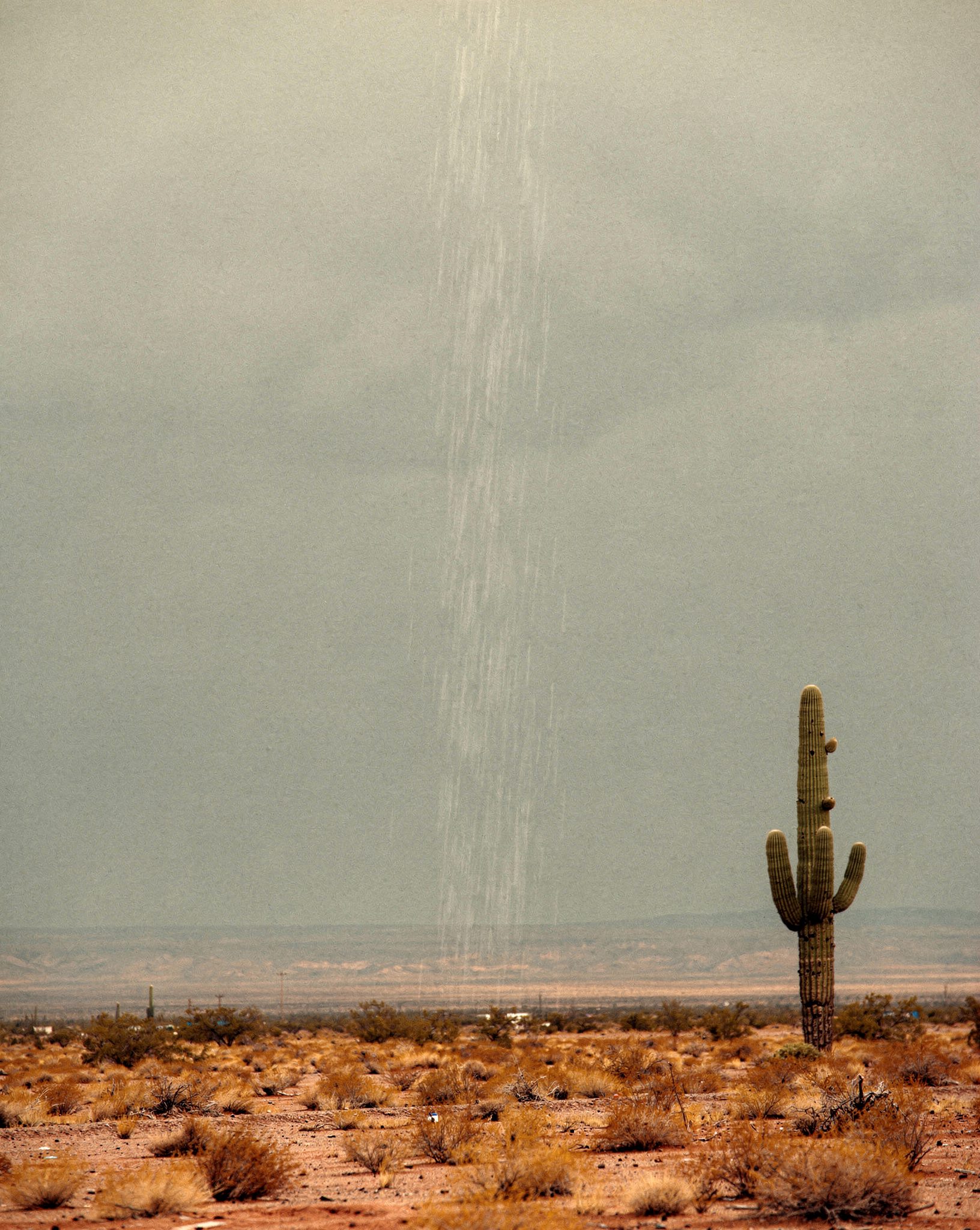 Sonoran Desert Monsoon: 6 Breathtaking Storm Wonders Over Red Earth